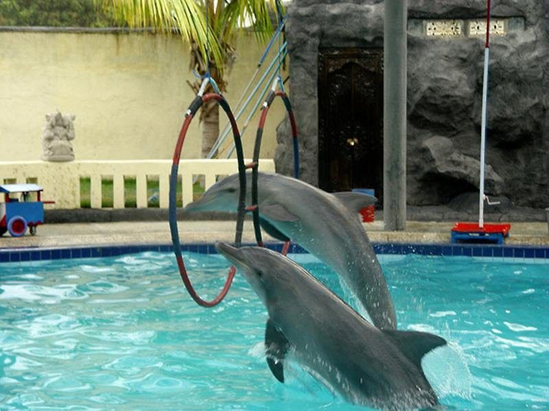 Oyo 2334 Melka Excelsior Hotel Singaraja Εξωτερικό φωτογραφία